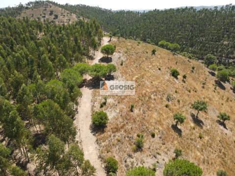 Herdade T4 Venda em São Barnabé,Almodôvar