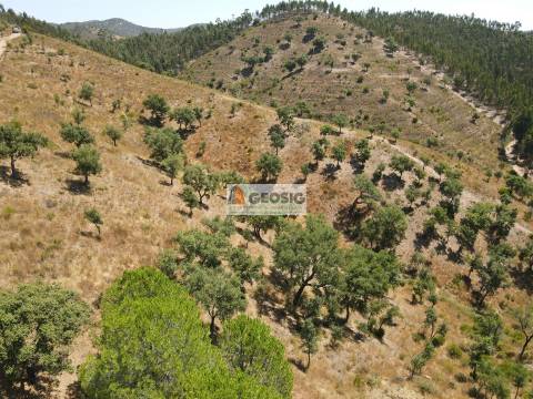 Herdade T4 Venda em São Barnabé,Almodôvar