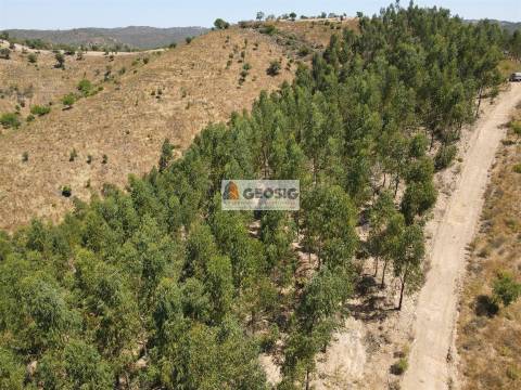 Herdade T4 Venda em São Barnabé,Almodôvar