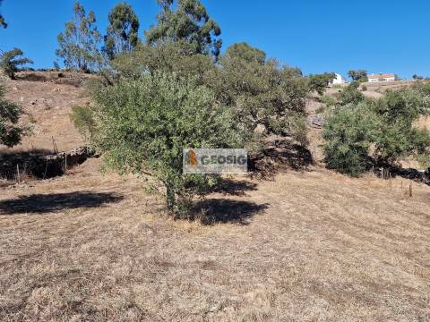 Moradia T3 Venda em Santa Cruz,Almodôvar