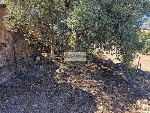 Moradia T3 Venda em Santa Cruz,Almodôvar