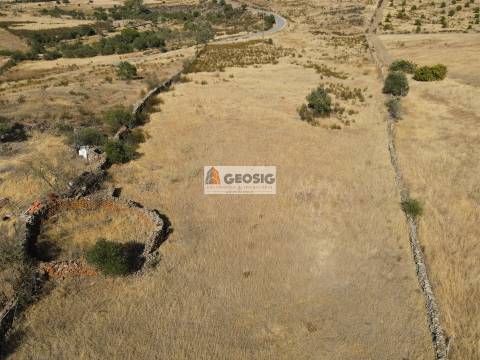 Terreno Rústico  Venda em São Miguel do Pinheiro, São Pedro de Solis e São Sebastião dos Carros,Mértola