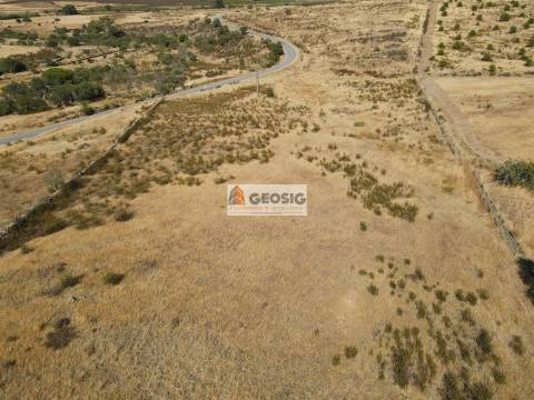 Terreno Rústico  Venda em São Miguel do Pinheiro, São Pedro de Solis e São Sebastião dos Carros,Mértola
