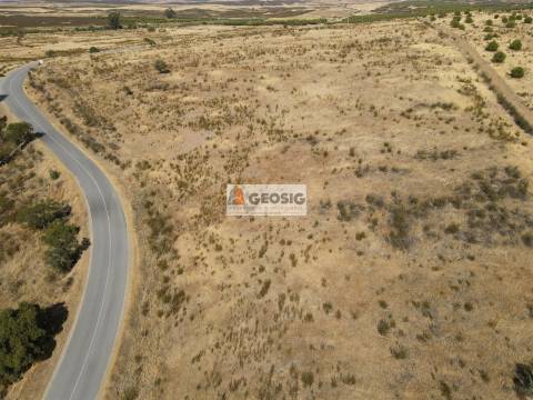 Terreno Rústico  Venda em São Miguel do Pinheiro, São Pedro de Solis e São Sebastião dos Carros,Mértola