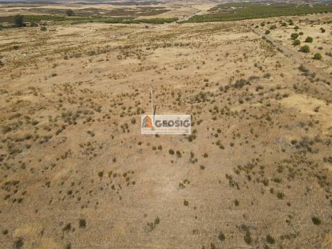 Terreno Rústico  Venda em São Miguel do Pinheiro, São Pedro de Solis e São Sebastião dos Carros,Mértola