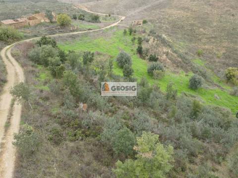 Quintinha T3 Venda em Santana da Serra,Ourique