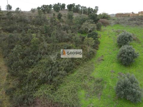 Quintinha T3 Venda em Santana da Serra,Ourique