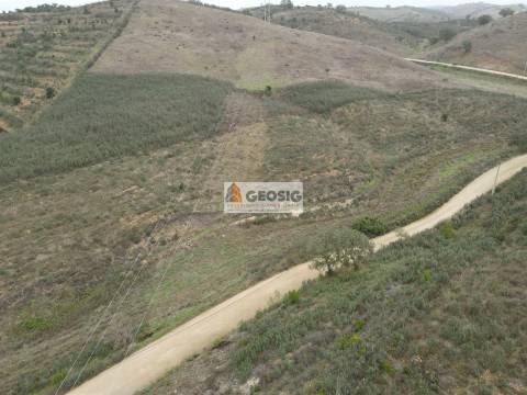 Quintinha T3 Venda em Santana da Serra,Ourique