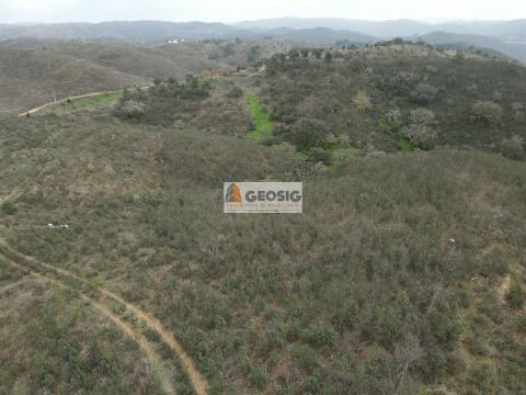 Quintinha T3 Venda em Santana da Serra,Ourique