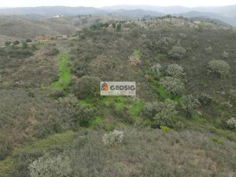 Quintinha T3 Venda em Santana da Serra,Ourique