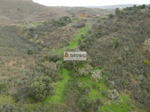 Quintinha T3 Venda em Santana da Serra,Ourique