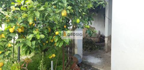 Terreno Para Construção  Venda em Almodôvar e Graça dos Padrões,Almodôvar