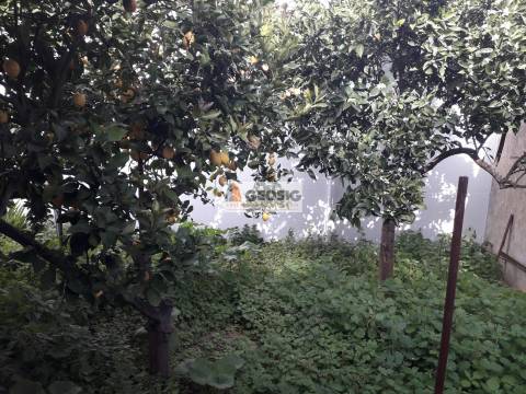 Terreno Para Construção  Venda em Almodôvar e Graça dos Padrões,Almodôvar