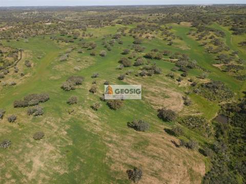 Terreno Rústico  Venda em Santa Clara-a-Nova e Gomes Aires,Almodôvar