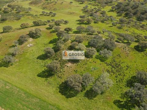 Terreno Rústico  Venda em Santa Clara-a-Nova e Gomes Aires,Almodôvar