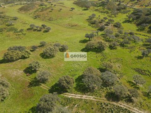 Terreno Rústico  Venda em Santa Clara-a-Nova e Gomes Aires,Almodôvar