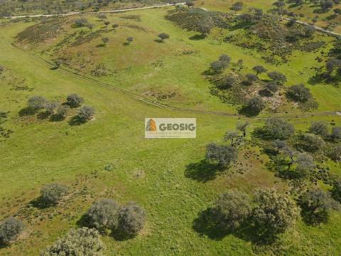 Terreno Rústico  Venda em Santa Clara-a-Nova e Gomes Aires,Almodôvar