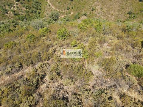 Quintinha T3 Venda em São Barnabé,Almodôvar