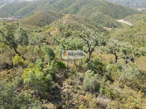 Quintinha T3 Venda em São Barnabé,Almodôvar