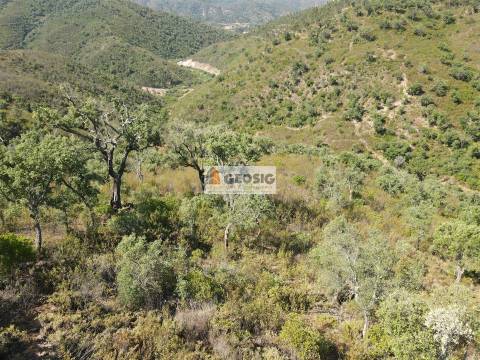 Quintinha T3 Venda em São Barnabé,Almodôvar