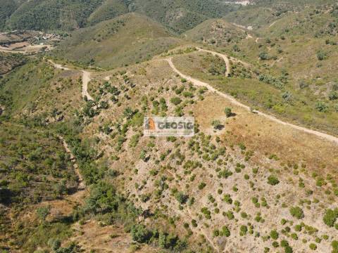 Quintinha T3 Venda em São Barnabé,Almodôvar