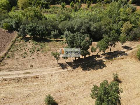 Quintinha T3 Venda em São Barnabé,Almodôvar