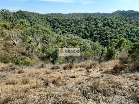 Terreno Rústico  Venda em Santa Clara-a-Nova e Gomes Aires,Almodôvar