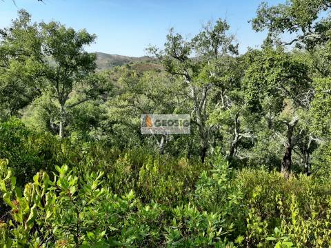 Terreno Rústico  Venda em Santa Clara-a-Nova e Gomes Aires,Almodôvar