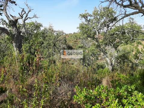 Terreno Rústico  Venda em Santa Clara-a-Nova e Gomes Aires,Almodôvar