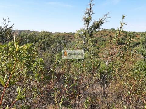 Terreno Rústico  Venda em Santa Clara-a-Nova e Gomes Aires,Almodôvar