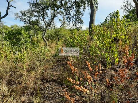Terreno Rústico  Venda em Santa Clara-a-Nova e Gomes Aires,Almodôvar