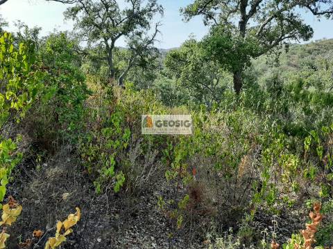 Terreno Rústico  Venda em Santa Clara-a-Nova e Gomes Aires,Almodôvar