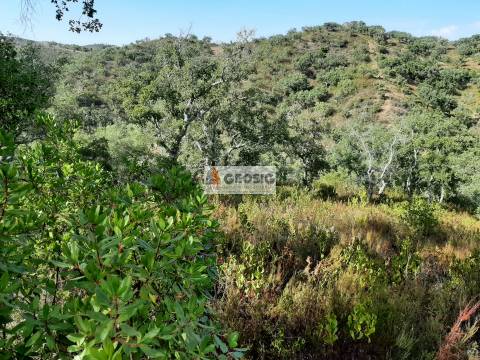 Terreno Rústico  Venda em Santa Clara-a-Nova e Gomes Aires,Almodôvar