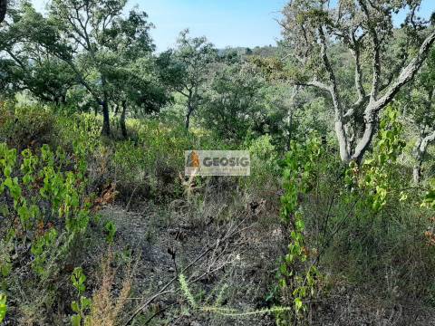 Terreno Rústico  Venda em Santa Clara-a-Nova e Gomes Aires,Almodôvar