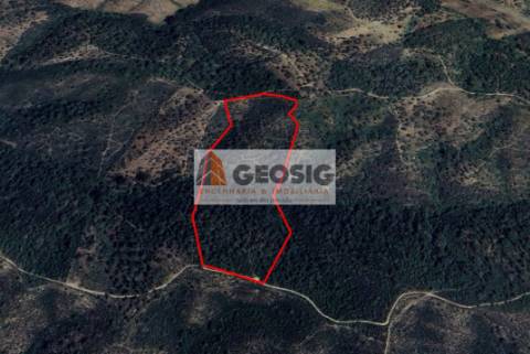 Terreno Rústico  Venda em Santa Clara-a-Nova e Gomes Aires,Almodôvar