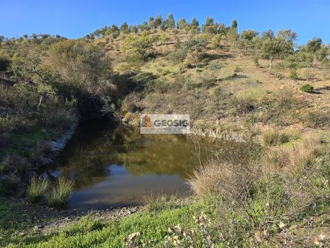 Quinta T2 Venda em Santa Clara-a-Nova e Gomes Aires,Almodôvar