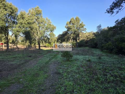 Quinta T2 Venda em Santa Clara-a-Nova e Gomes Aires,Almodôvar