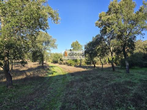 Quinta T2 Venda em Santa Clara-a-Nova e Gomes Aires,Almodôvar