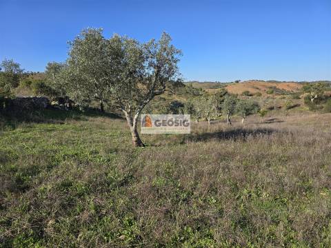 Quinta T2 Venda em Santa Clara-a-Nova e Gomes Aires,Almodôvar