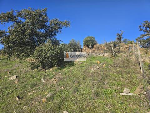 Quinta T2 Venda em Santa Clara-a-Nova e Gomes Aires,Almodôvar