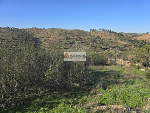 Quinta T2 Venda em Santa Clara-a-Nova e Gomes Aires,Almodôvar