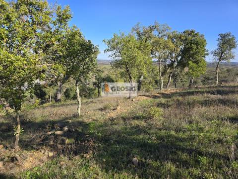 Quinta T2 Venda em Santa Clara-a-Nova e Gomes Aires,Almodôvar