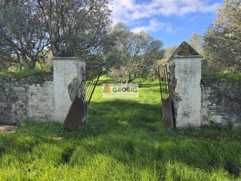Quinta T2 Venda em Santa Cruz,Almodôvar