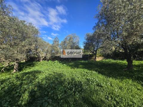 Quinta T2 Venda em Santa Cruz,Almodôvar