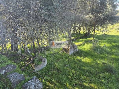 Quinta T2 Venda em Santa Cruz,Almodôvar