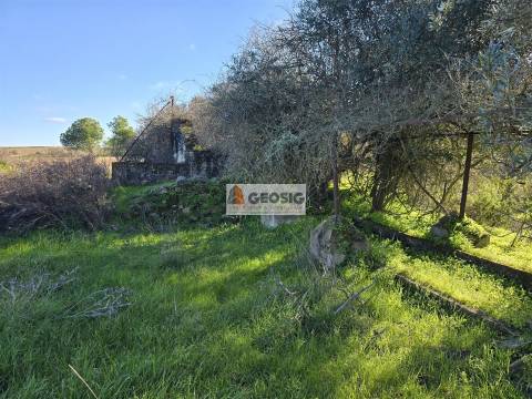 Quinta T2 Venda em Santa Cruz,Almodôvar