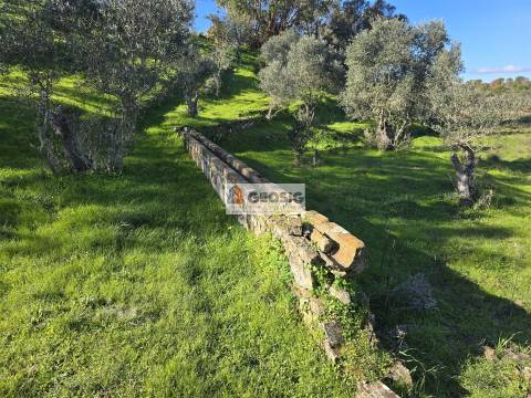Quinta T2 Venda em Santa Cruz,Almodôvar