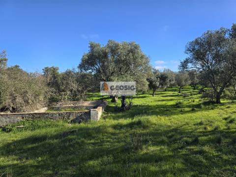 Quinta T2 Venda em Santa Cruz,Almodôvar