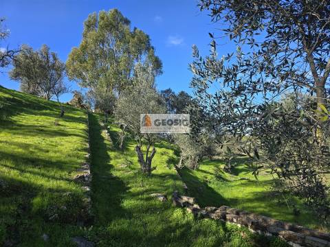 Quinta T2 Venda em Santa Cruz,Almodôvar