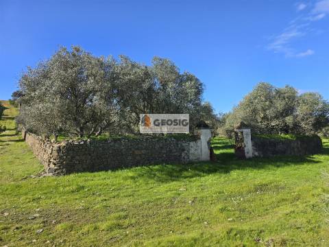 Quinta T2 Venda em Santa Cruz,Almodôvar